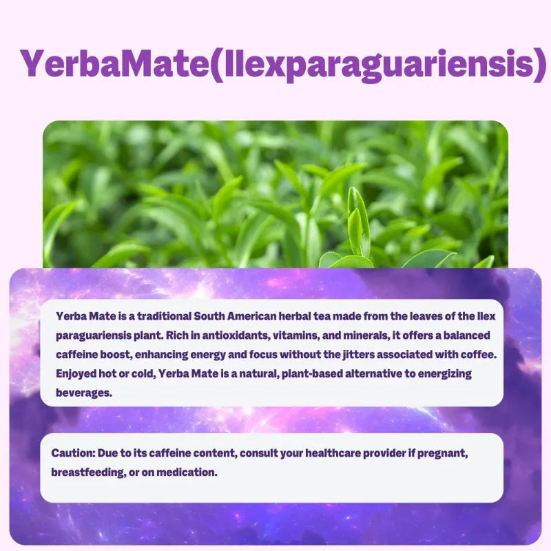 Yerba Mate 3-in-1 Energy Supplement, Phytonutrient Extracts for Brain Digestive Health - 1 bag